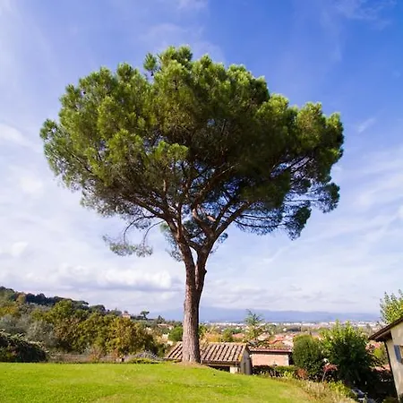 Casa Limonaia